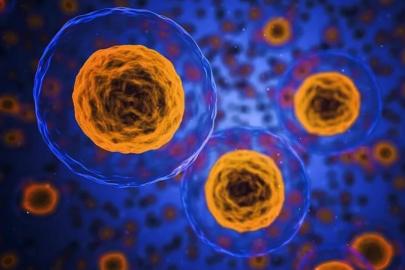 Cansız kimyasallardan ilk kez canlı gibi davranan hücre üretildi