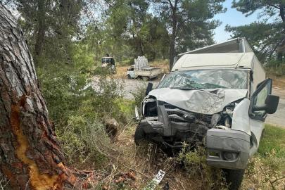 Kamyonet ağaca çarptı: 1 ölü