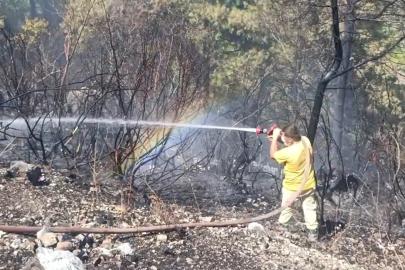 Antalya'da orman yangını (2)